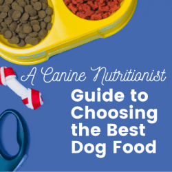 Canine Nutritionist Guide