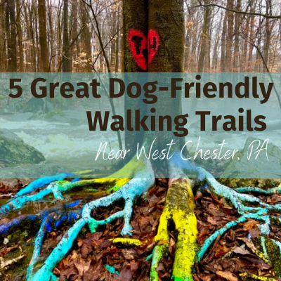 dog friendly walking trails