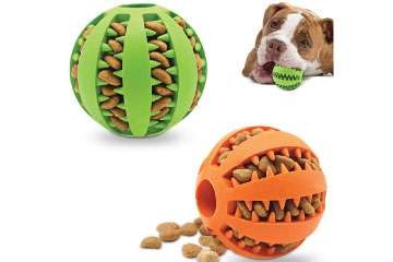 recommended interactive dog toy pet supplies