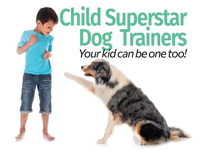 child superstar dog trainers