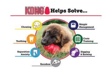 kong interactive dog toy