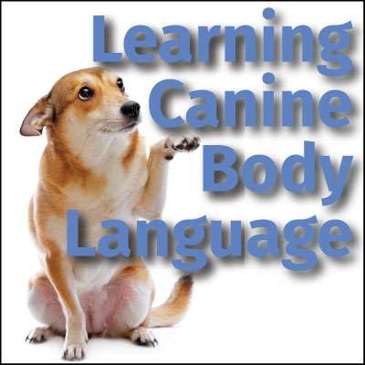 resource for learning canine body language