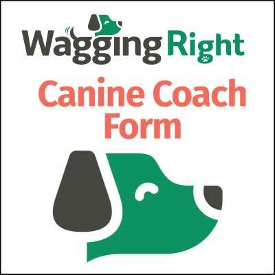 canine coach resource for dog owners