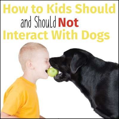 kids and dogs resources