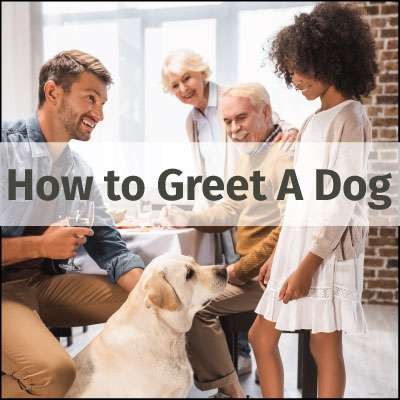 resource for dog owners w kids