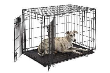 recommended pet crate
