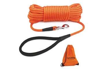 best training lead recommended pet supplies