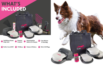 recommended best toy for herding dogs