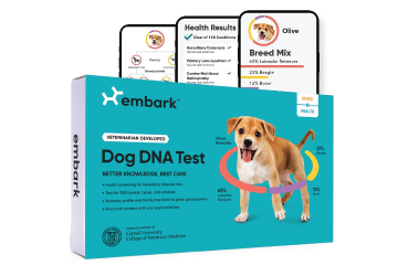 Embark breed and health kit pet supplies 