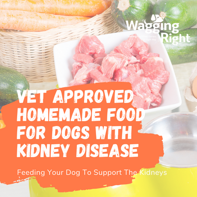 vet approved food for kidney disease