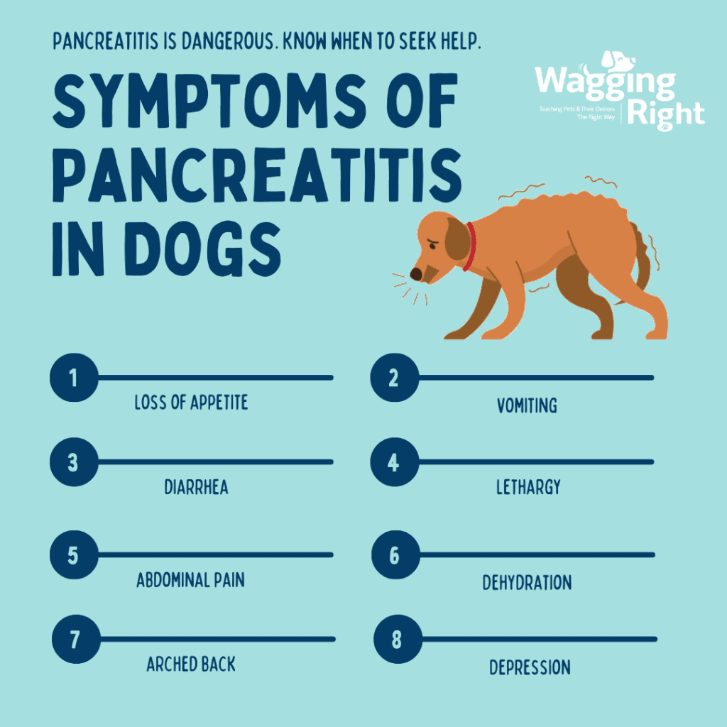symptoms of pancreatitis in dogs