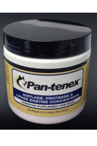 pan-tenex for pancreatitis in dogs