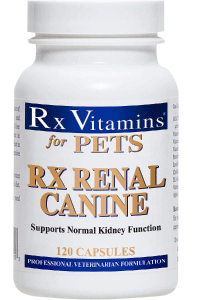 dog kidney disease supplement